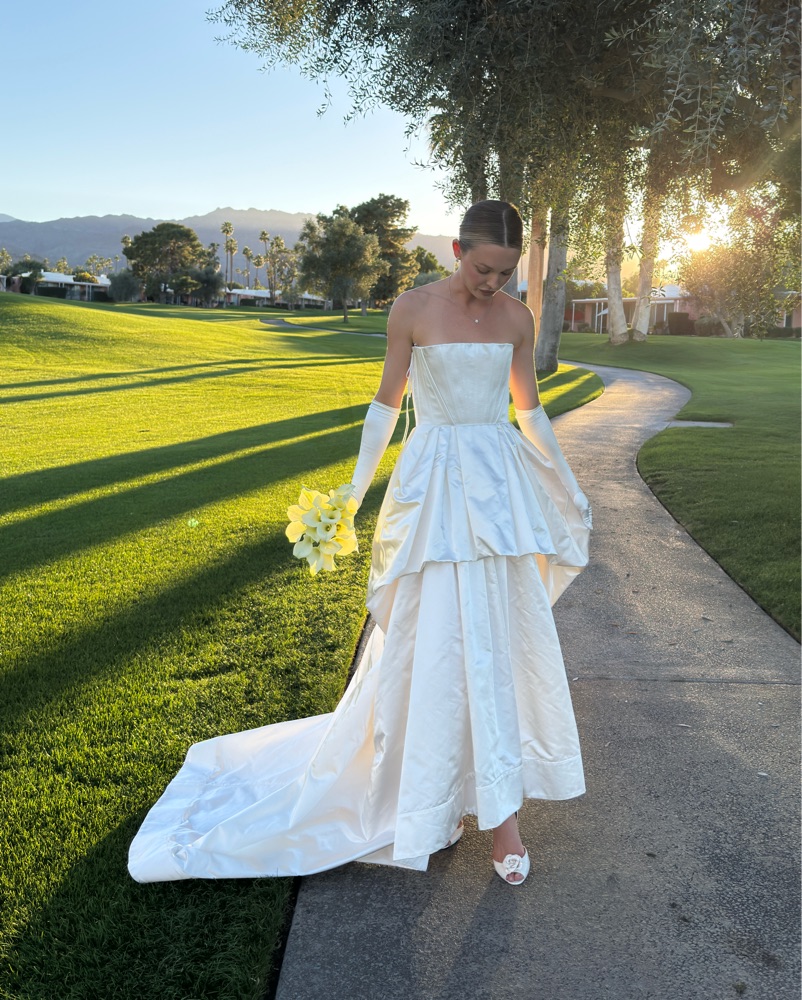 Pickle dress rental